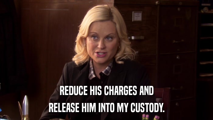 REDUCE HIS CHARGES AND RELEASE HIM INTO MY CUSTODY. 