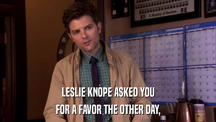 LESLIE KNOPE ASKED YOU FOR A FAVOR THE OTHER DAY, 