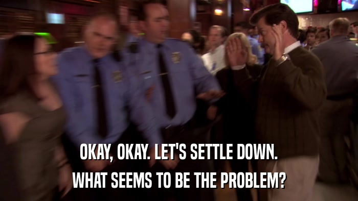 OKAY, OKAY. LET'S SETTLE DOWN. WHAT SEEMS TO BE THE PROBLEM? 