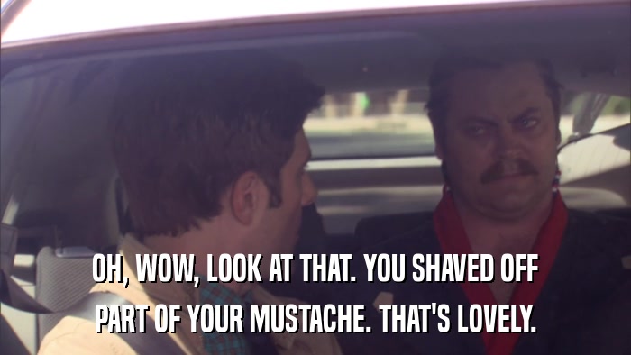 OH, WOW, LOOK AT THAT. YOU SHAVED OFF PART OF YOUR MUSTACHE. THAT'S LOVELY. 