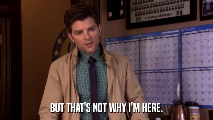 BUT THAT'S NOT WHY I'M HERE.  