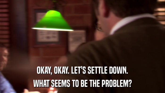 OKAY, OKAY. LET'S SETTLE DOWN. WHAT SEEMS TO BE THE PROBLEM? 