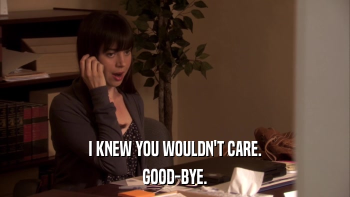 I KNEW YOU WOULDN'T CARE. GOOD-BYE. 