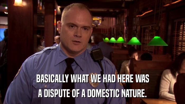 BASICALLY WHAT WE HAD HERE WAS A DISPUTE OF A DOMESTIC NATURE. 