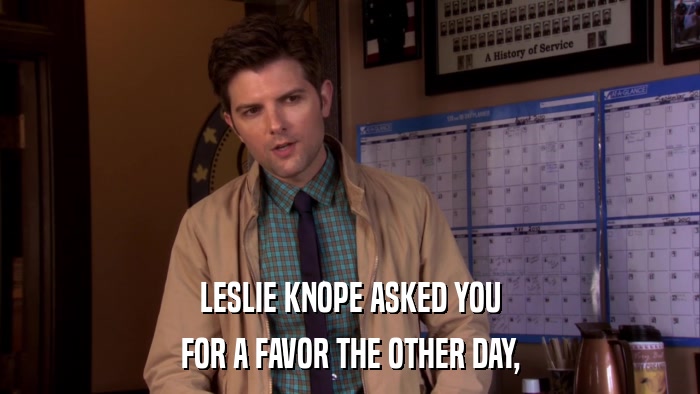 LESLIE KNOPE ASKED YOU FOR A FAVOR THE OTHER DAY, 