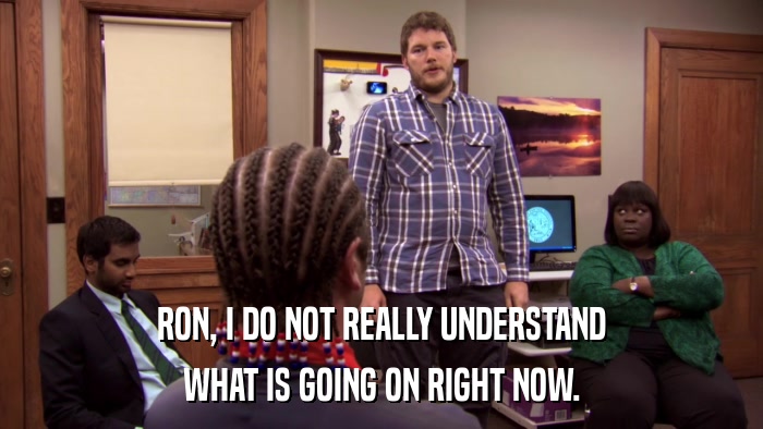 RON, I DO NOT REALLY UNDERSTAND WHAT IS GOING ON RIGHT NOW. 