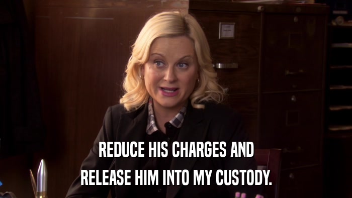 REDUCE HIS CHARGES AND RELEASE HIM INTO MY CUSTODY. 