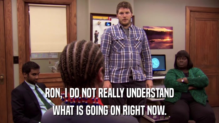 RON, I DO NOT REALLY UNDERSTAND WHAT IS GOING ON RIGHT NOW. 