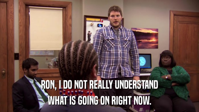 RON, I DO NOT REALLY UNDERSTAND WHAT IS GOING ON RIGHT NOW. 