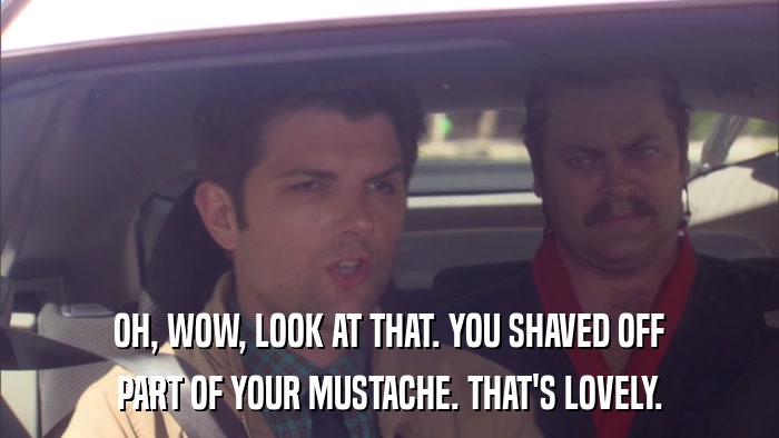 OH, WOW, LOOK AT THAT. YOU SHAVED OFF PART OF YOUR MUSTACHE. THAT'S LOVELY. 