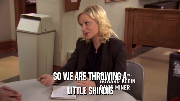 SO WE ARE THROWING A LITTLE SHINDIG 