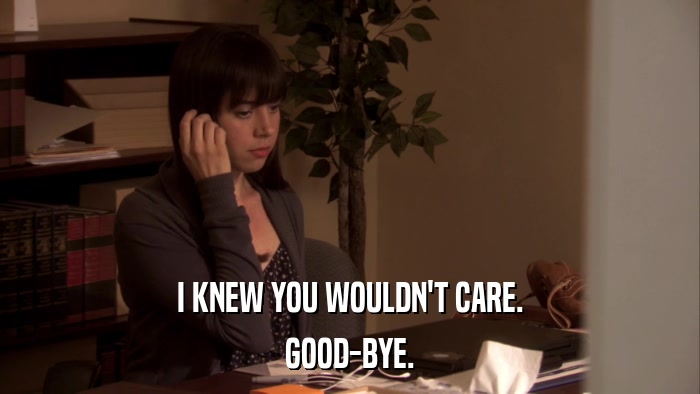 I KNEW YOU WOULDN'T CARE. GOOD-BYE. 
