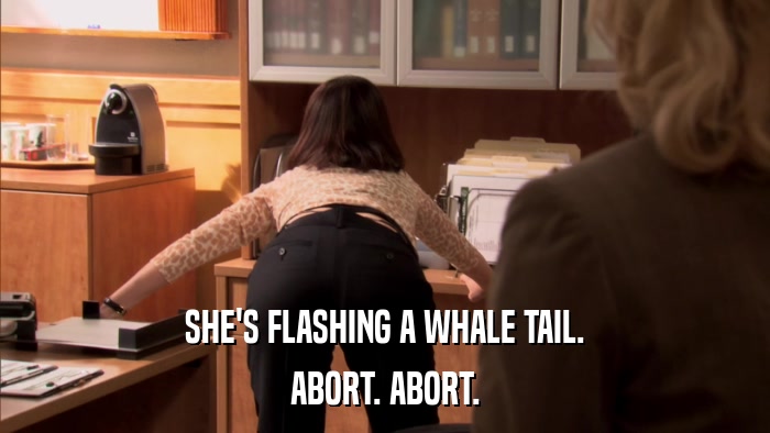 SHE'S FLASHING A WHALE TAIL. ABORT. ABORT. 
