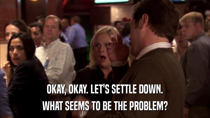 OKAY, OKAY. LET'S SETTLE DOWN. WHAT SEEMS TO BE THE PROBLEM? 
