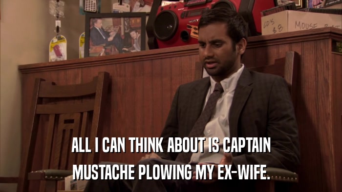 ALL I CAN THINK ABOUT IS CAPTAIN MUSTACHE PLOWING MY EX-WIFE. 
