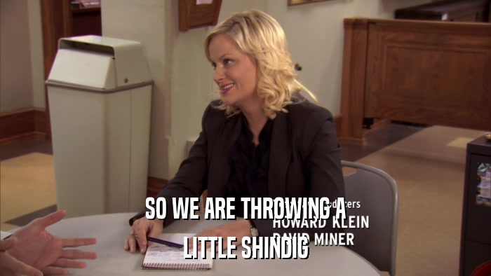 SO WE ARE THROWING A LITTLE SHINDIG 