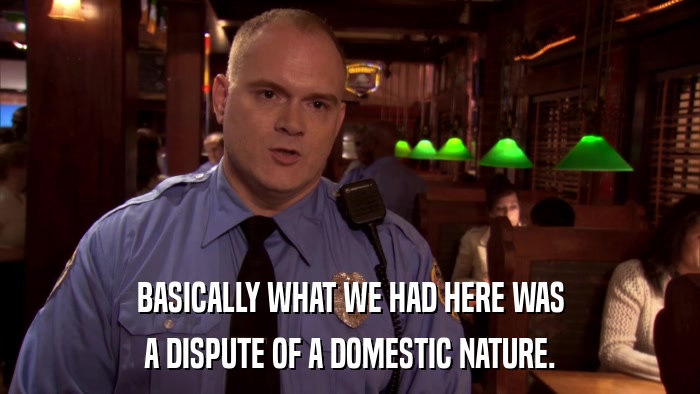 BASICALLY WHAT WE HAD HERE WAS A DISPUTE OF A DOMESTIC NATURE. 