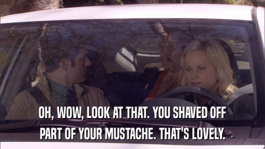 OH, WOW, LOOK AT THAT. YOU SHAVED OFF PART OF YOUR MUSTACHE. THAT'S LOVELY. 