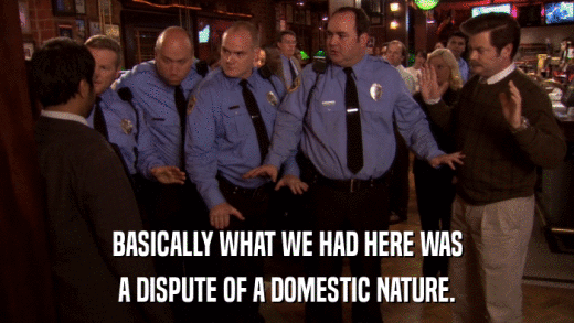 BASICALLY WHAT WE HAD HERE WAS A DISPUTE OF A DOMESTIC NATURE. 