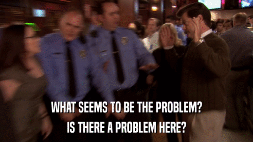 WHAT SEEMS TO BE THE PROBLEM? IS THERE A PROBLEM HERE? 
