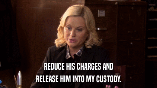 REDUCE HIS CHARGES AND RELEASE HIM INTO MY CUSTODY. 