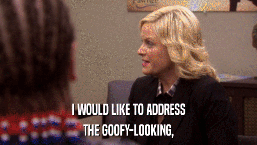 I WOULD LIKE TO ADDRESS THE GOOFY-LOOKING, 