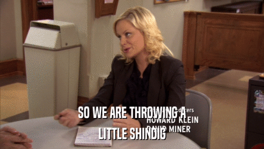 SO WE ARE THROWING A LITTLE SHINDIG 