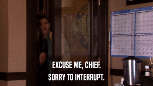 EXCUSE ME, CHIEF. SORRY TO INTERRUPT. 