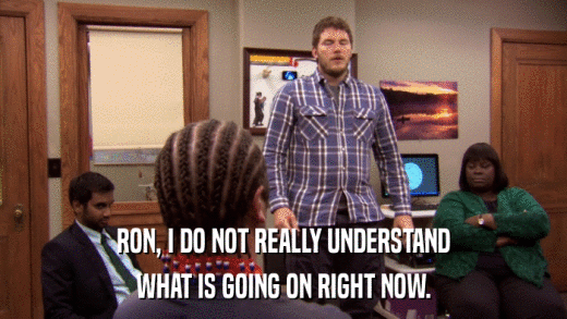 RON, I DO NOT REALLY UNDERSTAND WHAT IS GOING ON RIGHT NOW. 