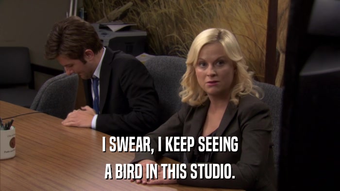 I SWEAR, I KEEP SEEING A BIRD IN THIS STUDIO. 