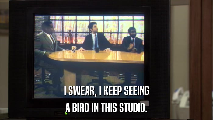 I SWEAR, I KEEP SEEING A BIRD IN THIS STUDIO. 