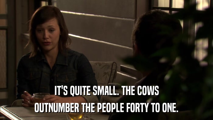 IT'S QUITE SMALL. THE COWS OUTNUMBER THE PEOPLE FORTY TO ONE. 