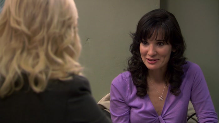 BEN WYATT BANKRUPTS A TOWN AND THEN COMES TO PAWNEE 