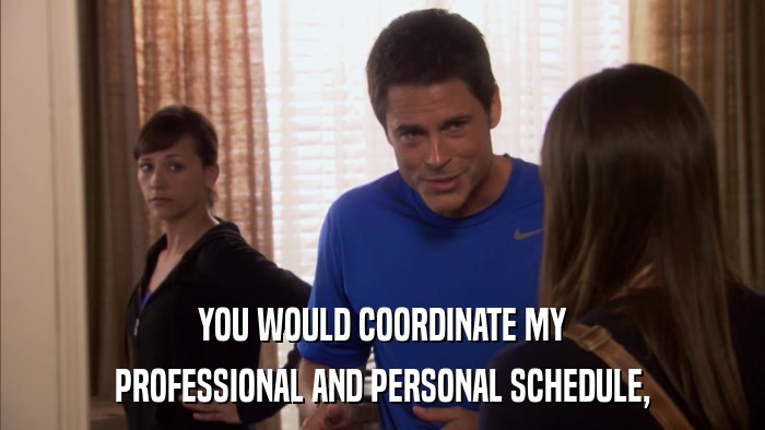 YOU WOULD COORDINATE MY PROFESSIONAL AND PERSONAL SCHEDULE, 