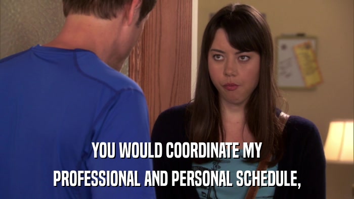 YOU WOULD COORDINATE MY PROFESSIONAL AND PERSONAL SCHEDULE, 