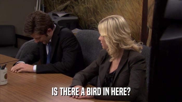 IS THERE A BIRD IN HERE?  