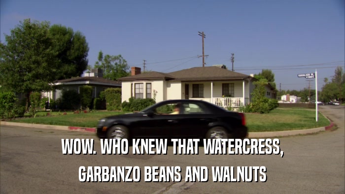 WOW. WHO KNEW THAT WATERCRESS, GARBANZO BEANS AND WALNUTS 