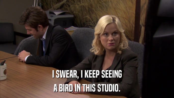 I SWEAR, I KEEP SEEING A BIRD IN THIS STUDIO. 