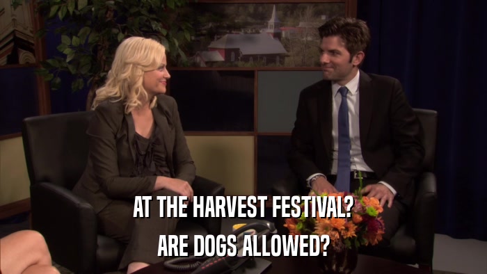AT THE HARVEST FESTIVAL? ARE DOGS ALLOWED? 