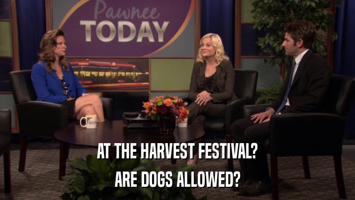 AT THE HARVEST FESTIVAL? ARE DOGS ALLOWED? 