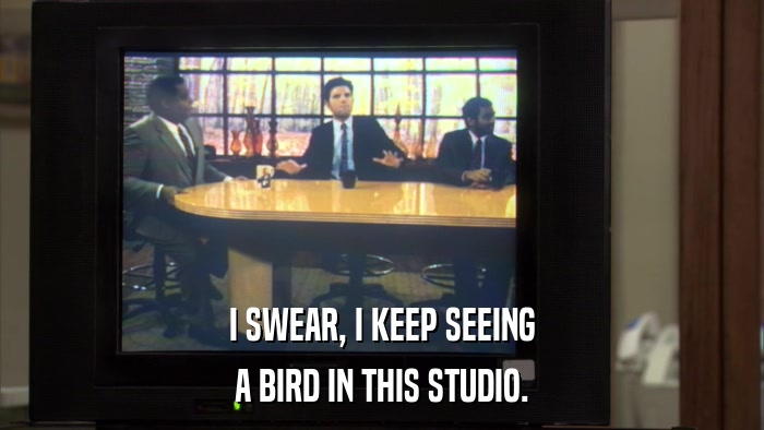 I SWEAR, I KEEP SEEING A BIRD IN THIS STUDIO. 