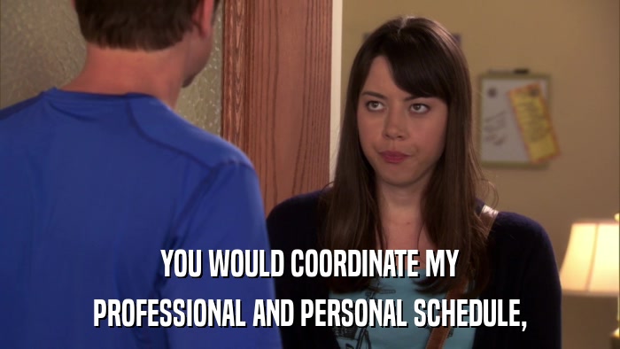 YOU WOULD COORDINATE MY PROFESSIONAL AND PERSONAL SCHEDULE, 