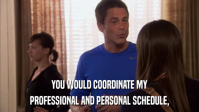 YOU WOULD COORDINATE MY PROFESSIONAL AND PERSONAL SCHEDULE, 