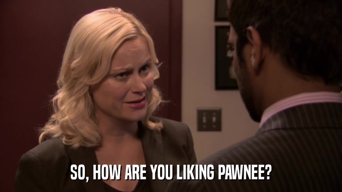 SO, HOW ARE YOU LIKING PAWNEE?  