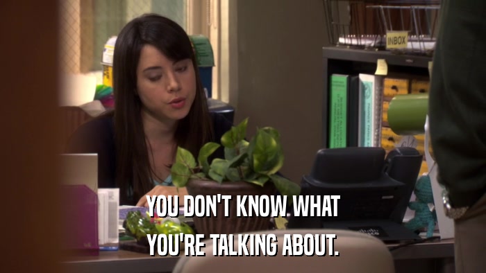 YOU DON'T KNOW WHAT YOU'RE TALKING ABOUT. 