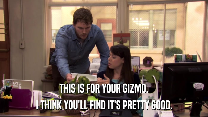 THIS IS FOR YOUR GIZMO. I THINK YOU'LL FIND IT'S PRETTY GOOD. 