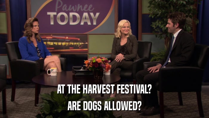 AT THE HARVEST FESTIVAL? ARE DOGS ALLOWED? 