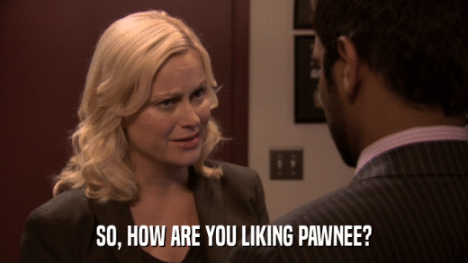 SO, HOW ARE YOU LIKING PAWNEE?  
