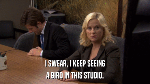 I SWEAR, I KEEP SEEING A BIRD IN THIS STUDIO. 