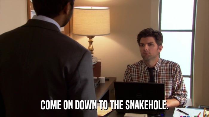 COME ON DOWN TO THE SNAKEHOLE.  